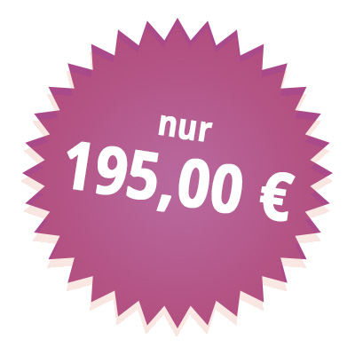 Preisschild Discofox