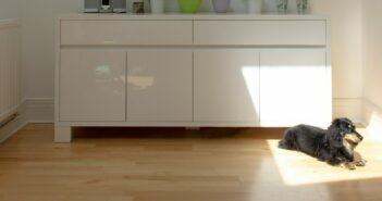 Sideboard und Hund im Sonnenlicht auf holzfarbenen Laminatboden